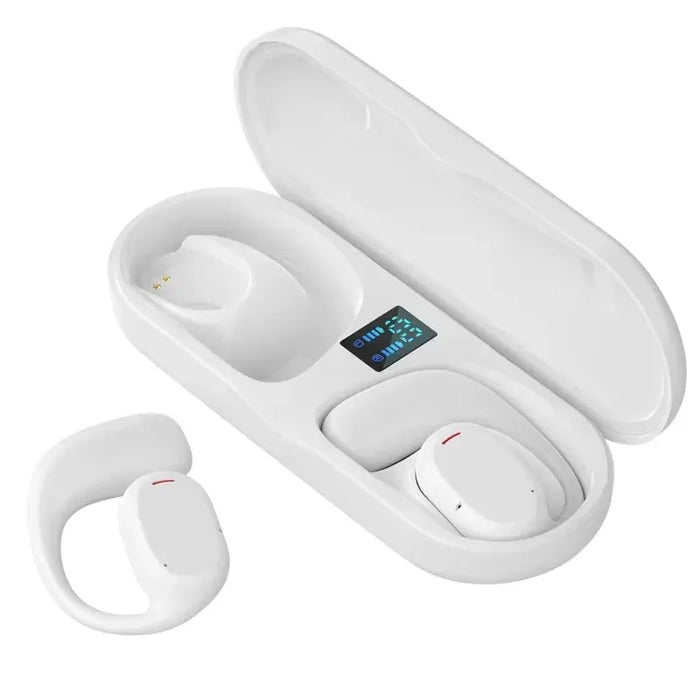 Waterproof Earbuds with charging case